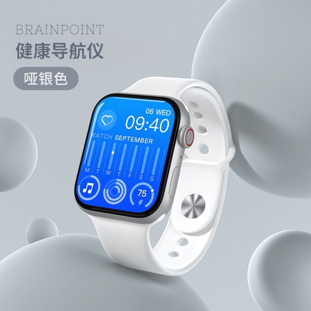 BrainPoint健康导航仪