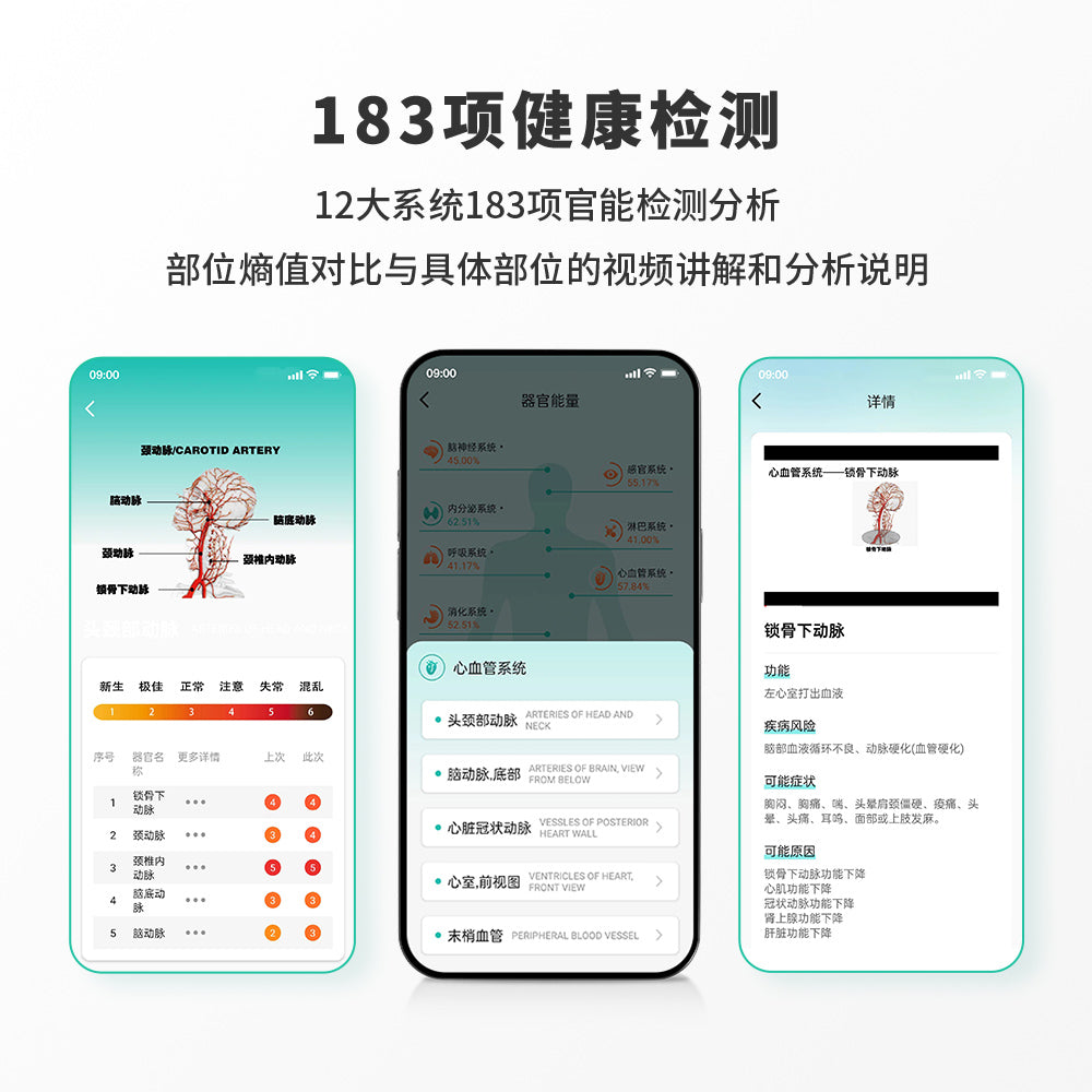 BrainPoint健康导航仪