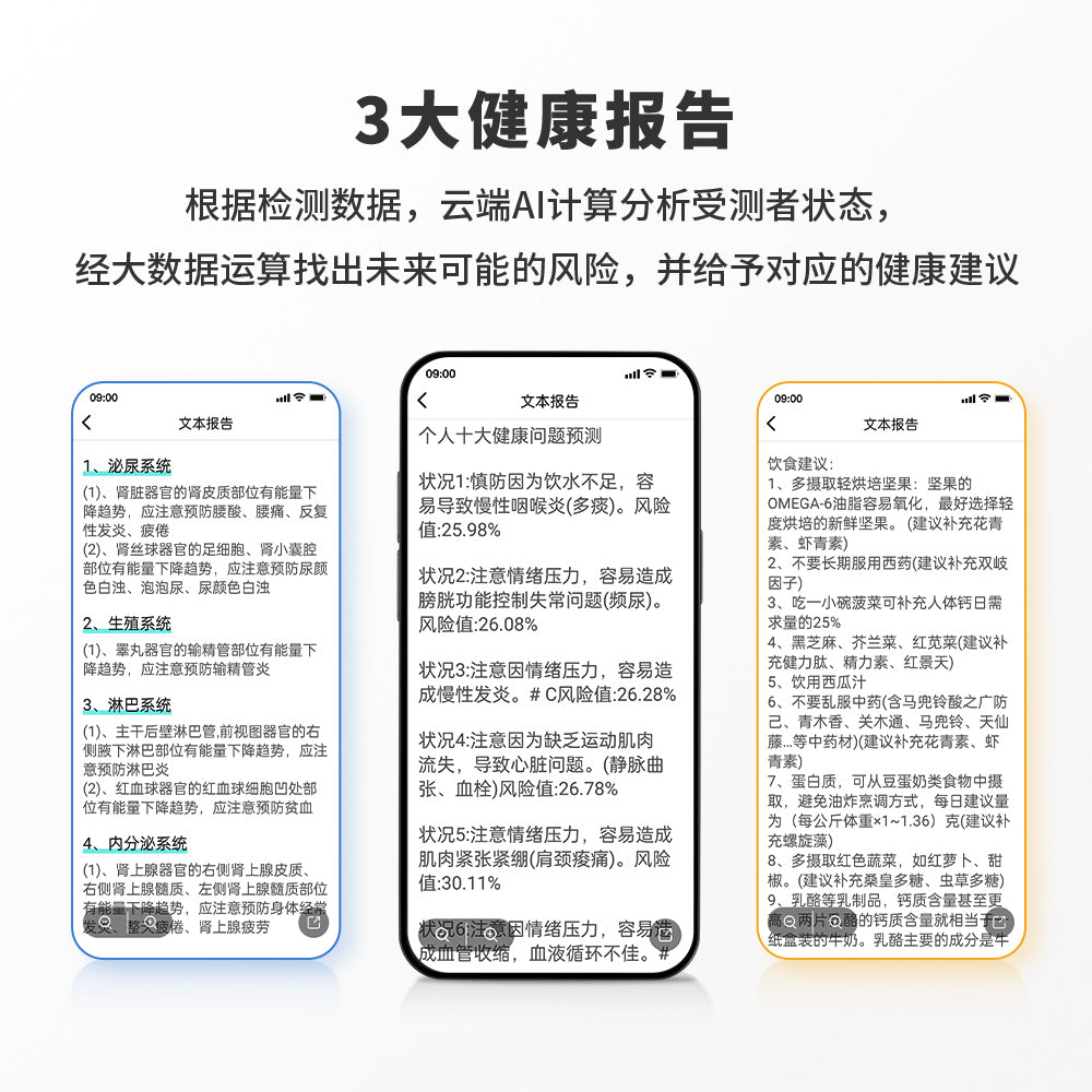 BrainPoint健康导航仪